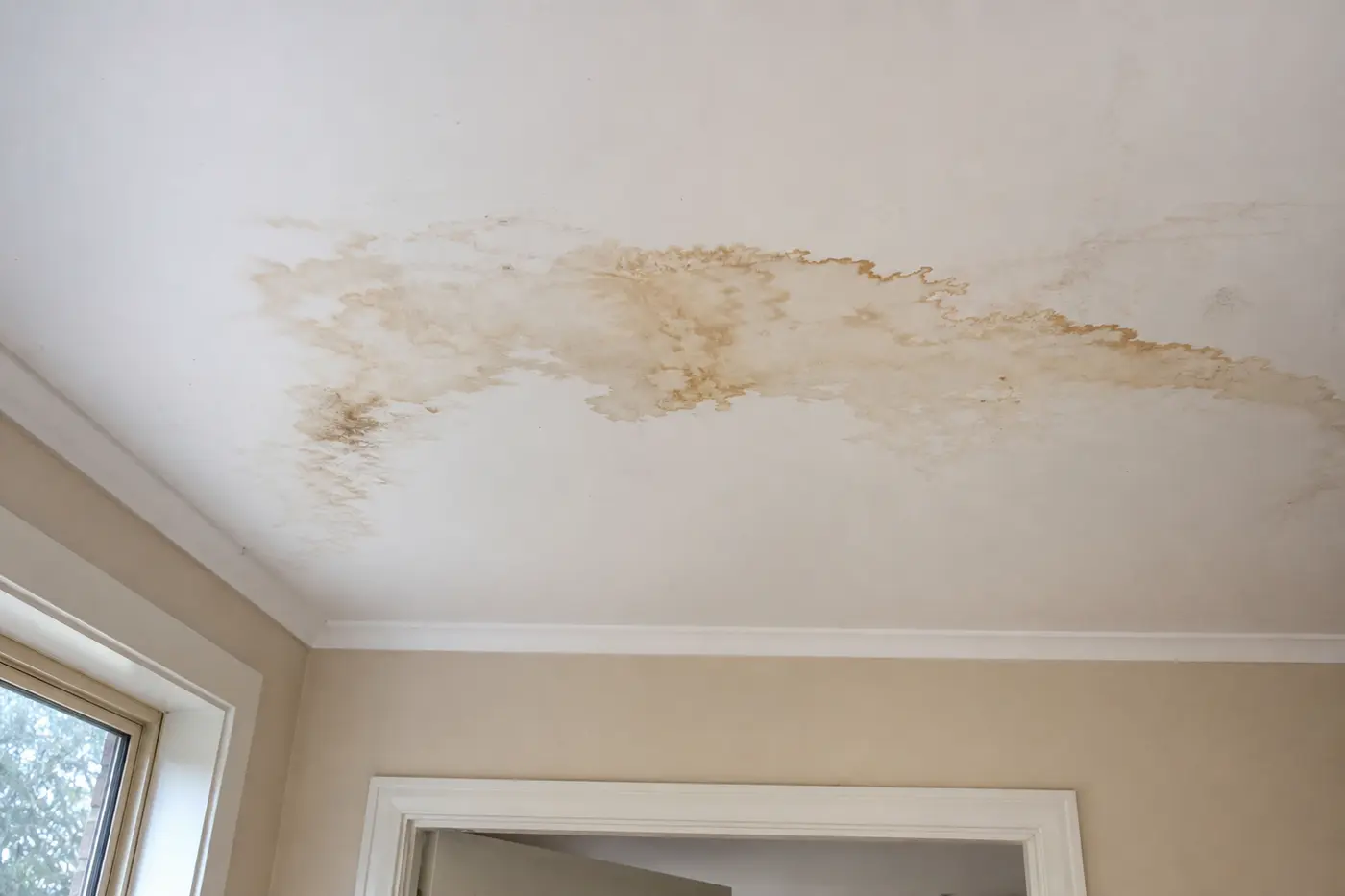 A brown water stain spreading across a white ceiling inside a Canberra home