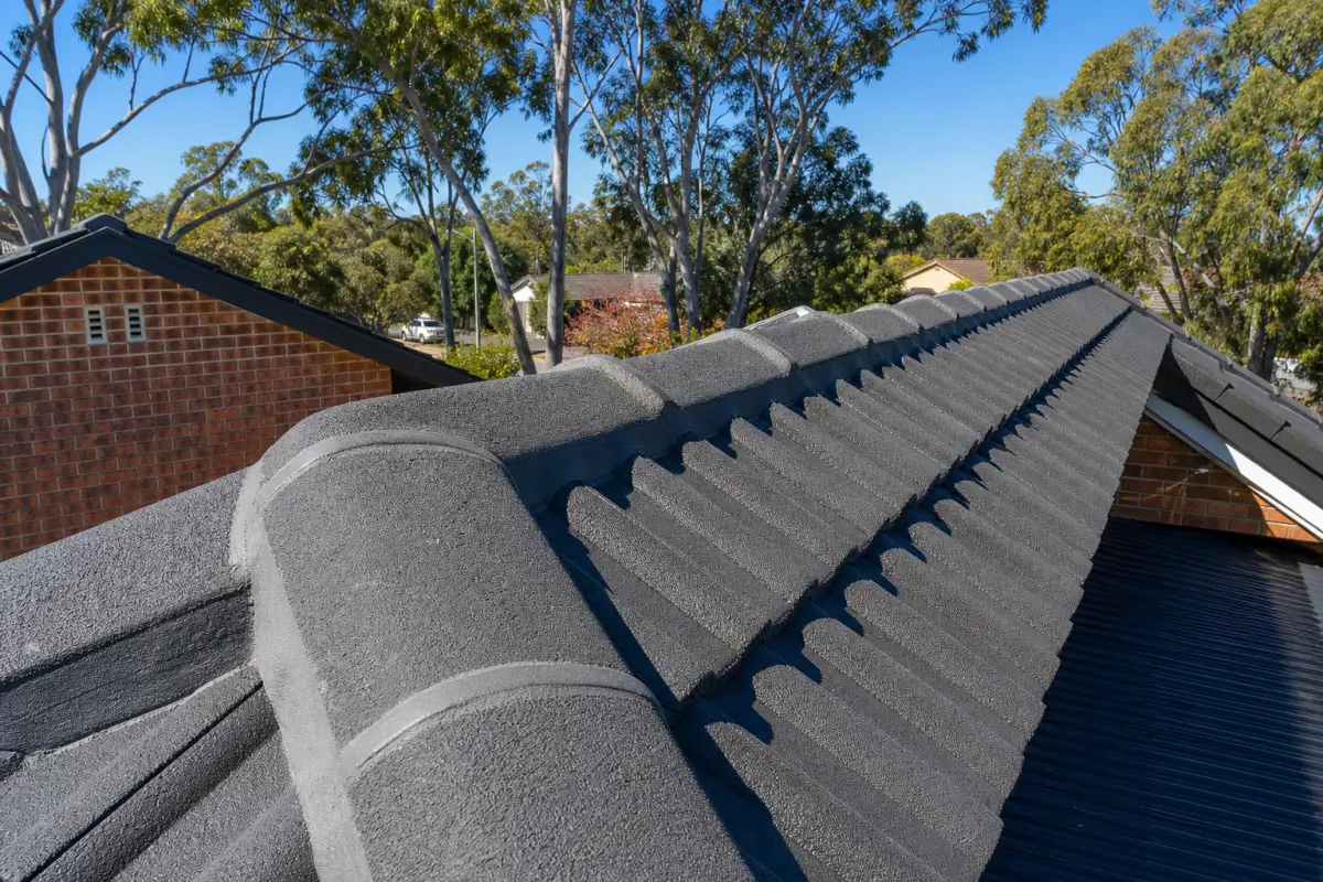 Re-bedded and repointed ridge capping on a charcoal tile roof โ Roof Restoration Canberra
